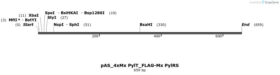 271071_map