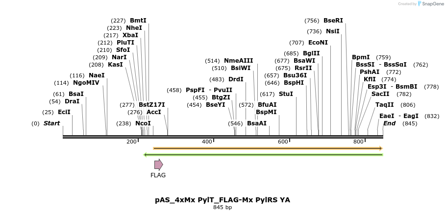 271072_map