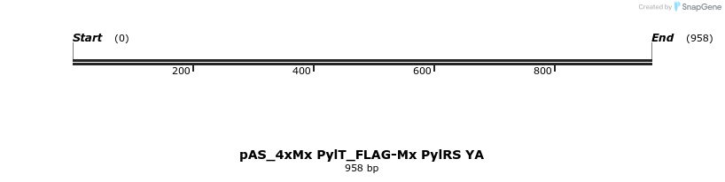 271073_map