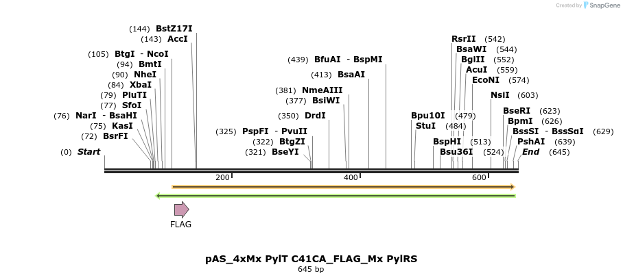 271074_map