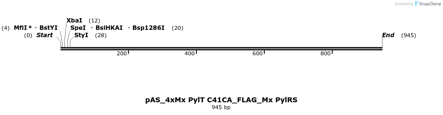 271075_map