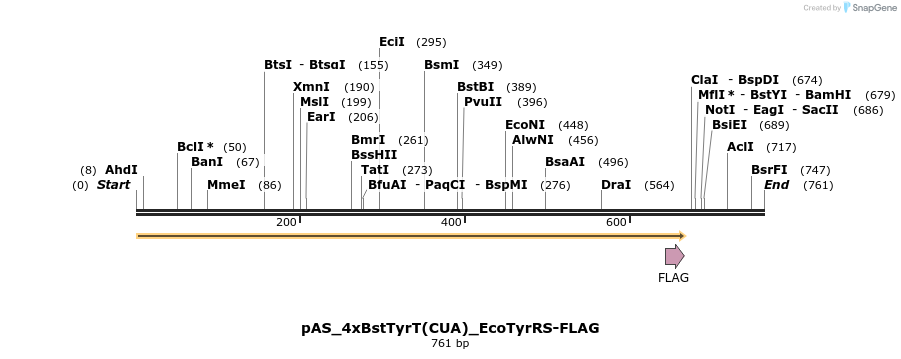 271081_map