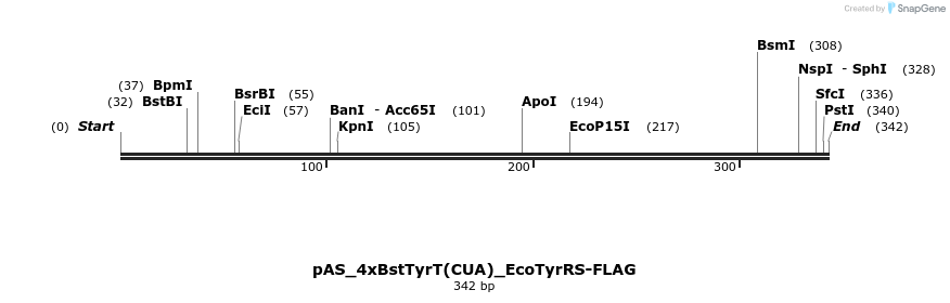 271082_map