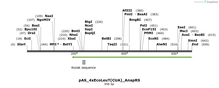 271083_map