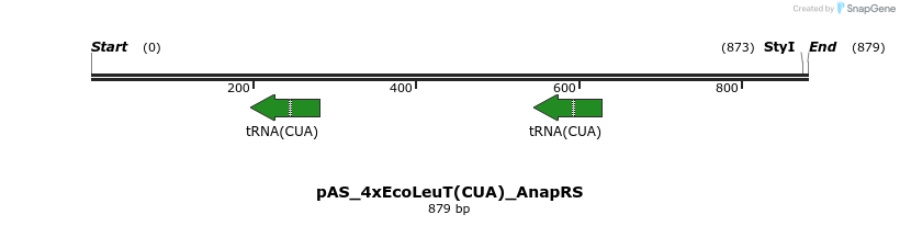 271084_map