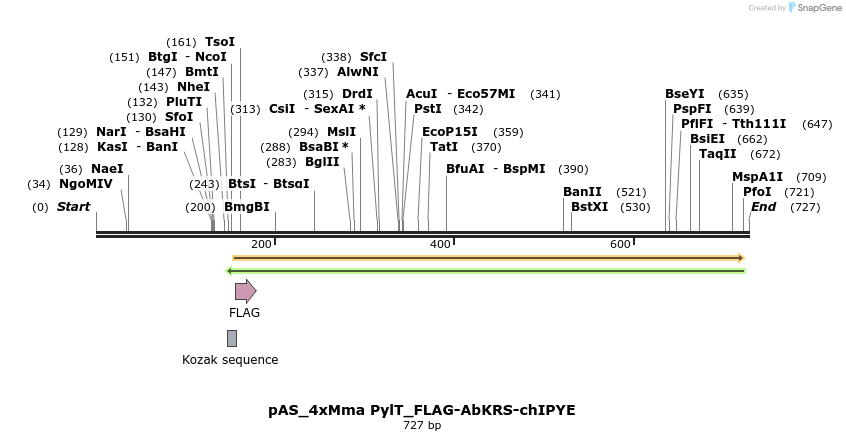 271085_map