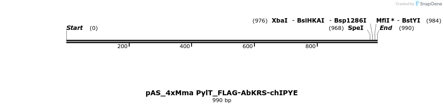 271086_map