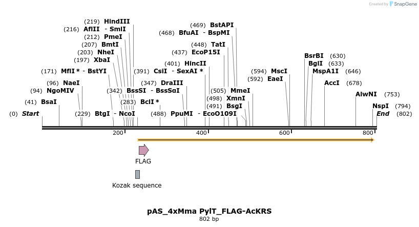 271087_map