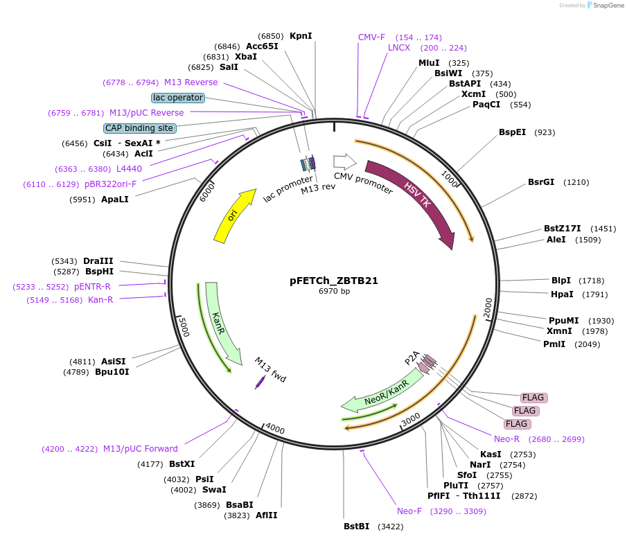 271113_map