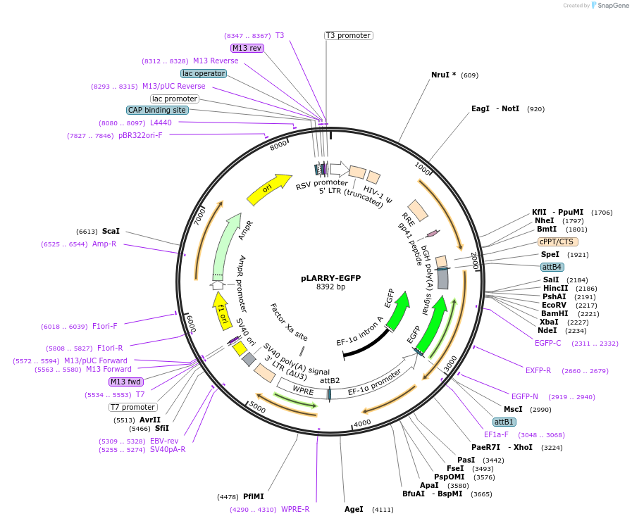 271120_map