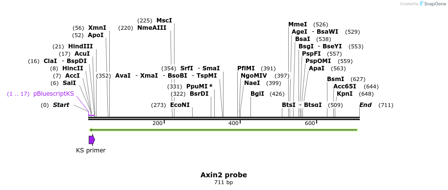 27113_map