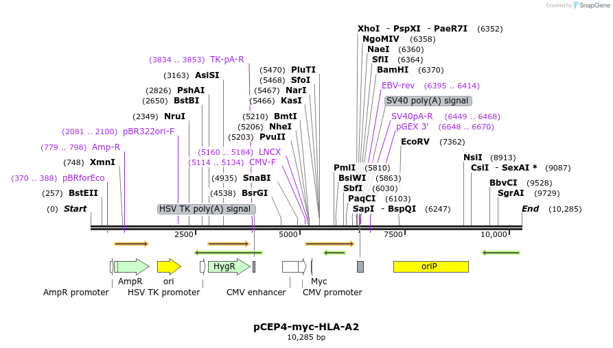 271149_map