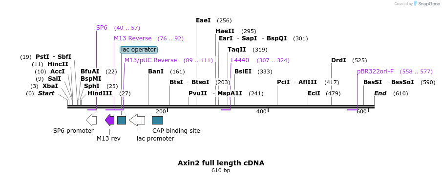 27115_map