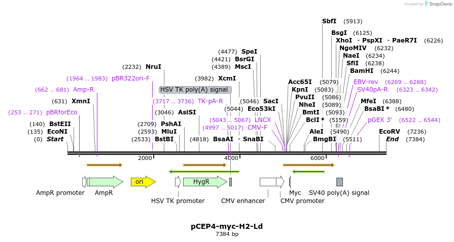 271152_map