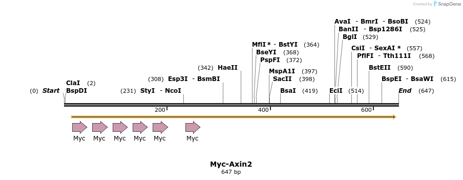 27116_map