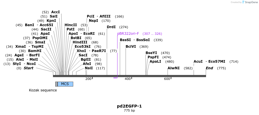 27117_map
