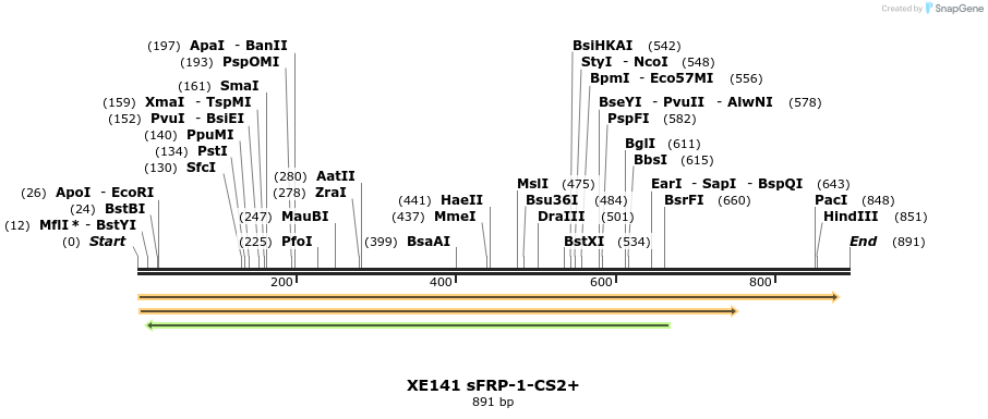 27123_map