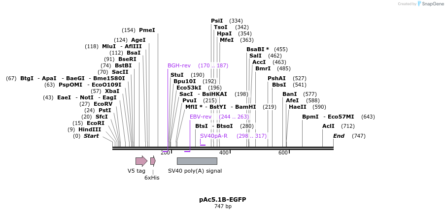 27128_map