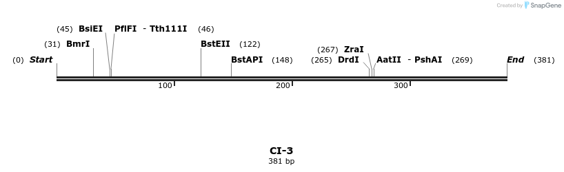 271281_map