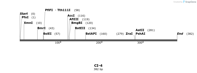 271282_map