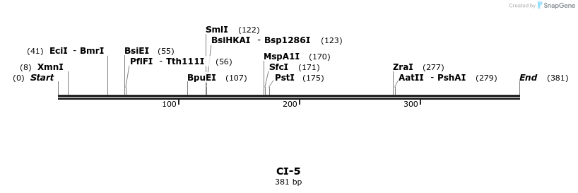 271284_map