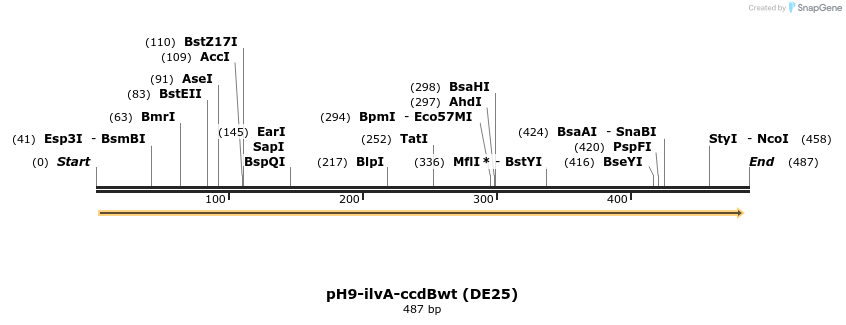 271285_map