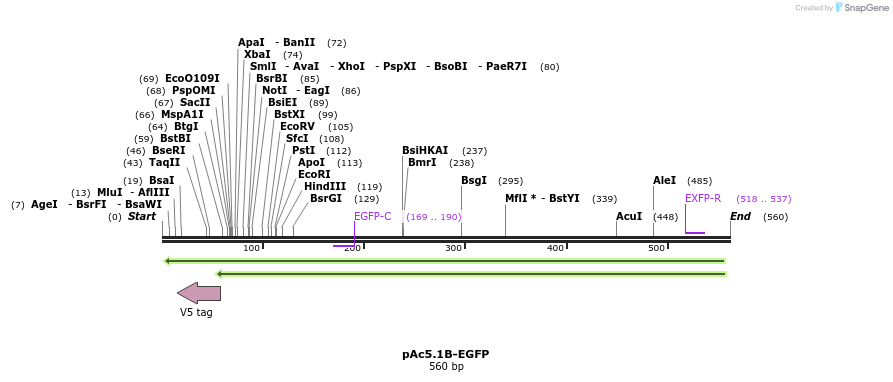 27129_map
