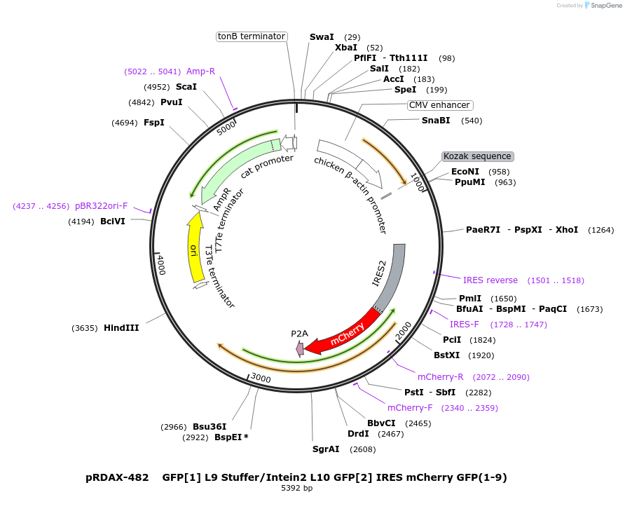 271321_map