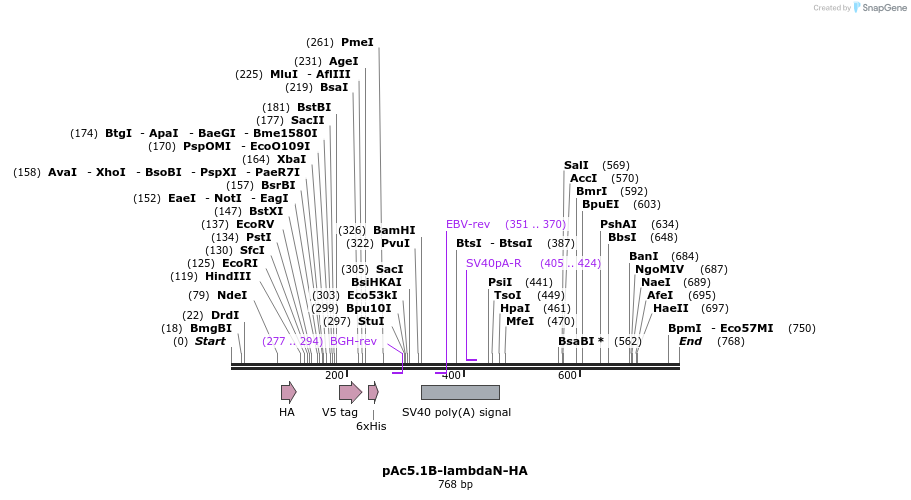 27137_map