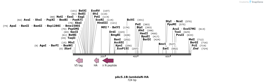 27138_map