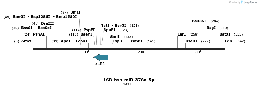 271396_map