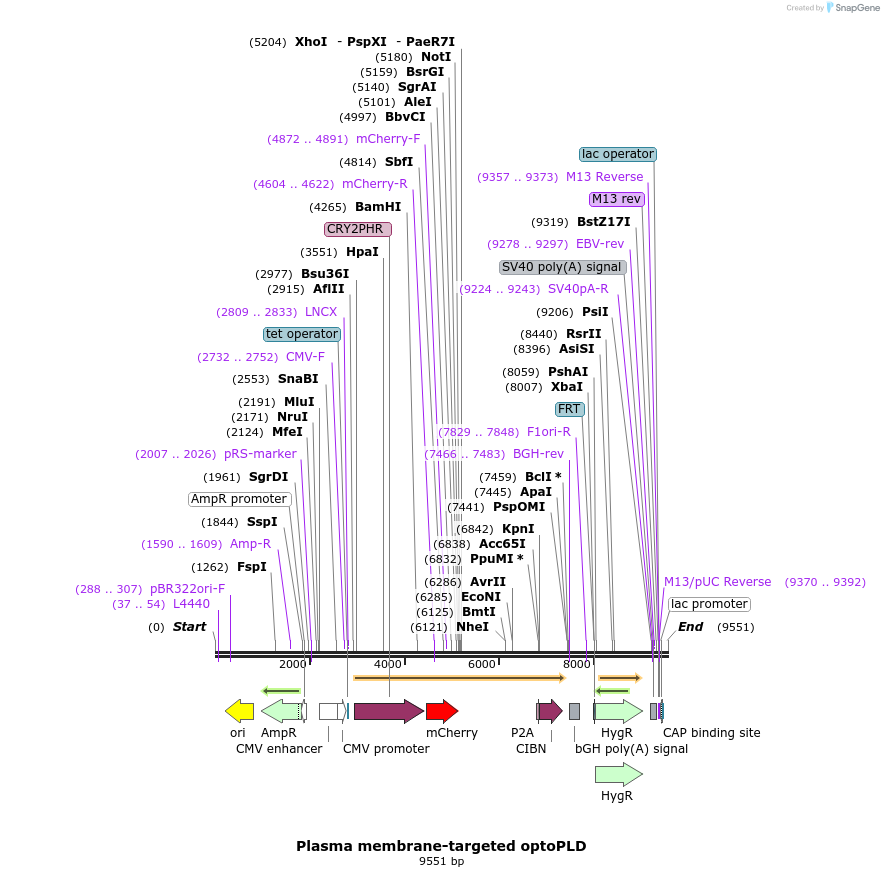 271401_map