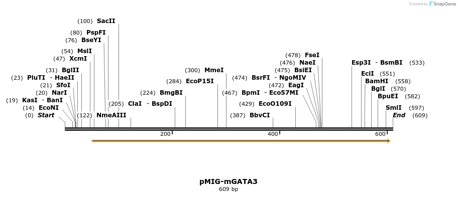 27144_map