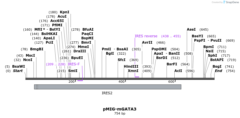 27145_map
