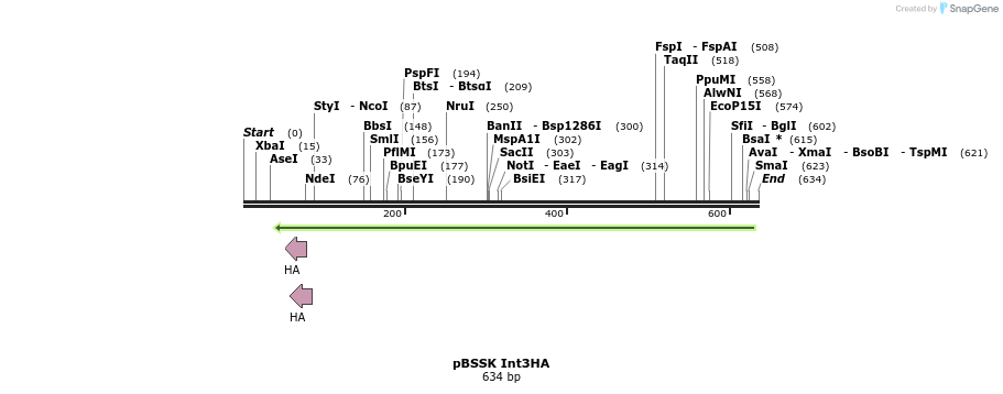 27150_map