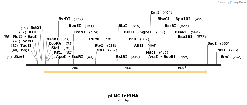27151_map
