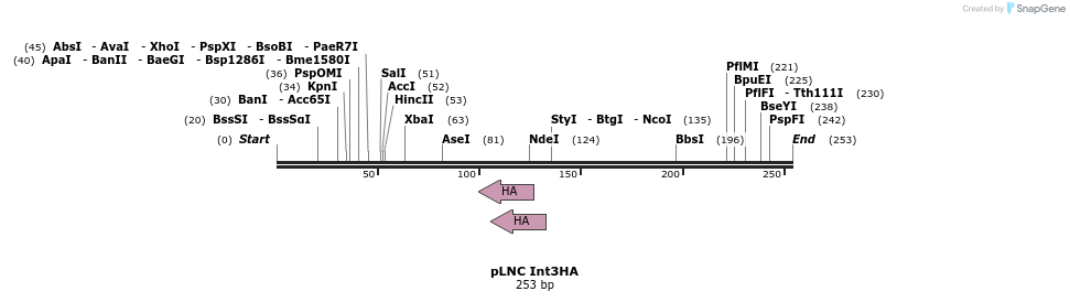 27152_map