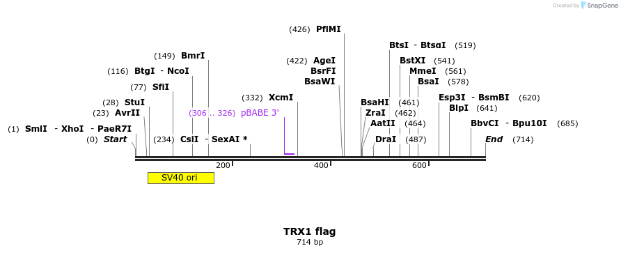 27154_map