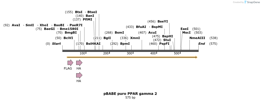 27156_map