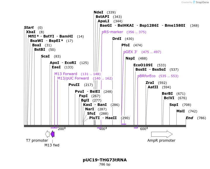 27157_map