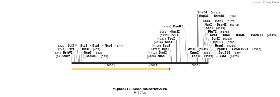 271607_map