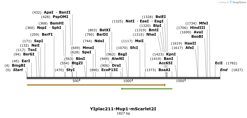 271608_map