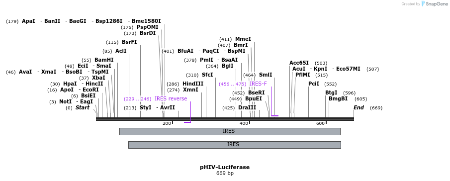 27162_map