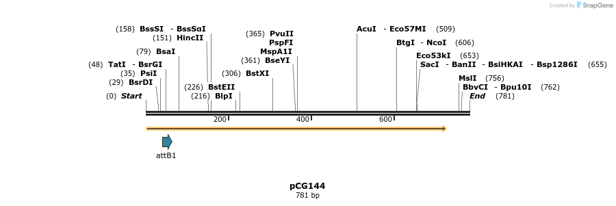 27163_map