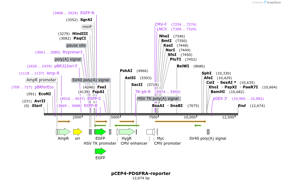 271683_map
