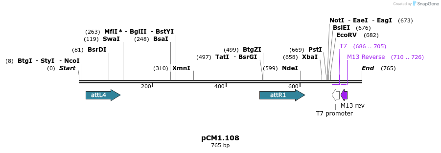 27169_map