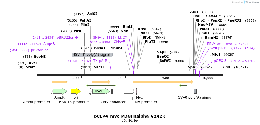 271698_map
