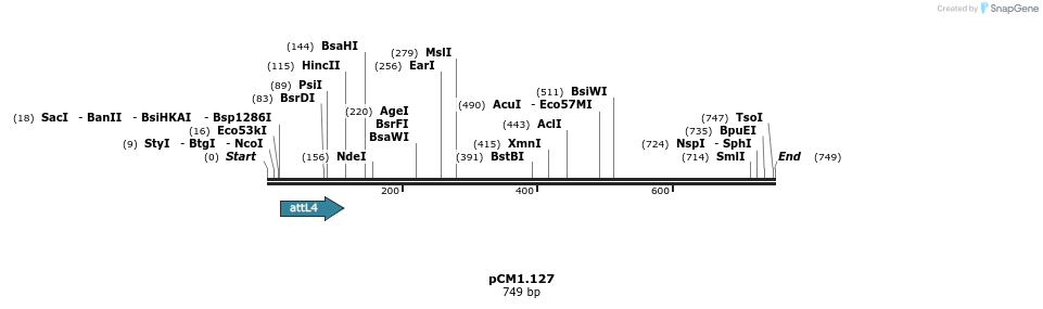 27171_map