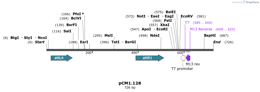 27172_map
