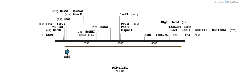27173_map